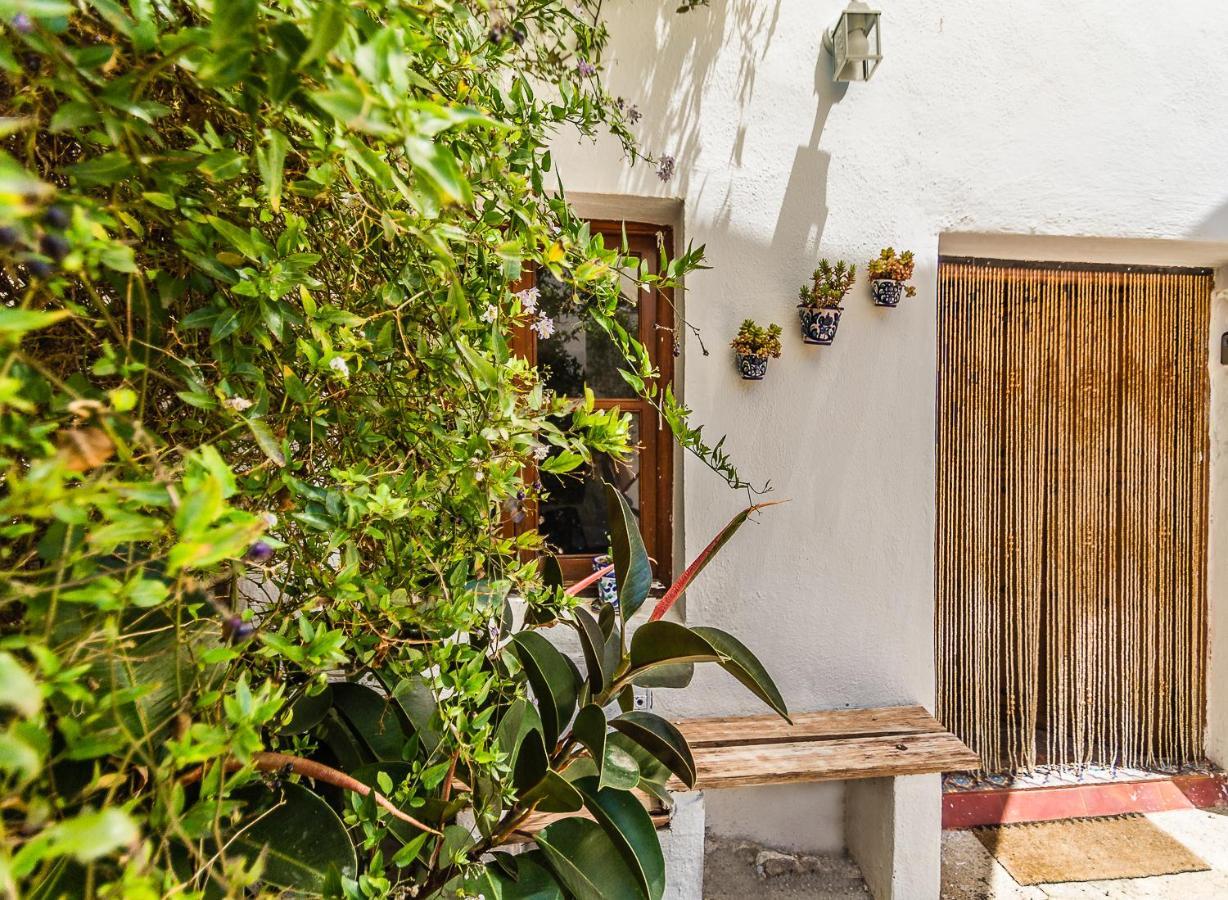 Casa Mundo - 16Th Century Traditional White Village House With Pool Pinos del Valle Exteriör bild